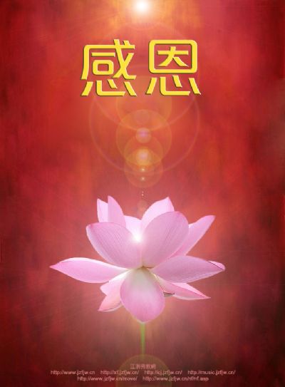 分享:一心只向莲花往,还得我心本善良 分享:一心只向莲花往,还得我心本善良