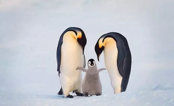 亲情照片,太美了!你是否被感动了? 亲情照片,太美了!你是否被感动了?