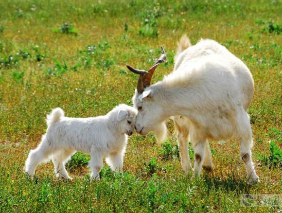 亲情照片,太美了!你是否被感动了? 亲情照片,太美了!你是否被感动了?