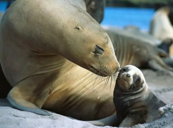 亲情照片,太美了!你是否被感动了? 亲情照片,太美了!你是否被感动了?