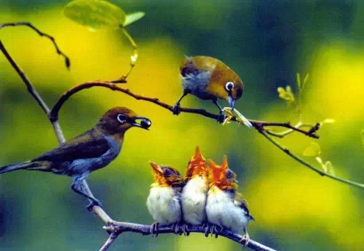 亲情照片,太美了!你是否被感动了? 亲情照片,太美了!你是否被感动了?