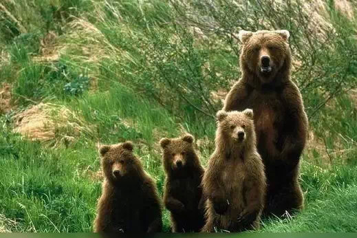 亲情照片,太美了!你是否被感动了? 亲情照片,太美了!你是否被感动了?