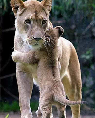 亲情照片,太美了!你是否被感动了? 亲情照片,太美了!你是否被感动了?