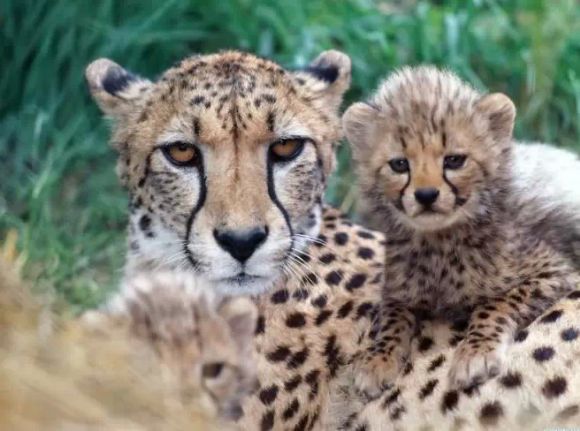 亲情照片,太美了!你是否被感动了? 亲情照片,太美了!你是否被感动了?