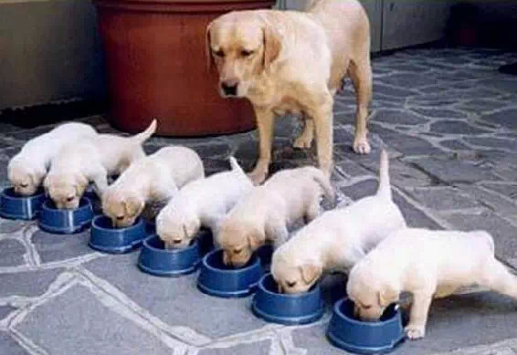 亲情照片,太美了!你是否被感动了? 亲情照片,太美了!你是否被感动了?