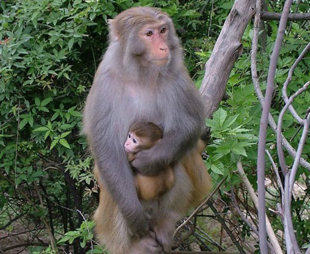 亲情照片,太美了!你是否被感动了? 亲情照片,太美了!你是否被感动了?
