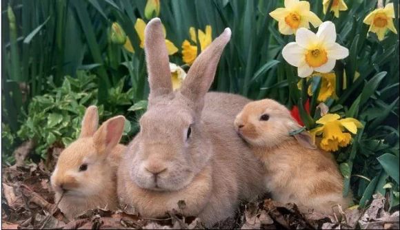 亲情照片,太美了!你是否被感动了? 亲情照片,太美了!你是否被感动了?