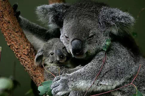 亲情照片,太美了!你是否被感动了? 亲情照片,太美了!你是否被感动了?