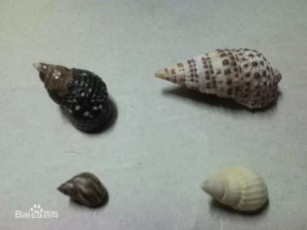 吃一口就成植物人 吃一口就成植物人