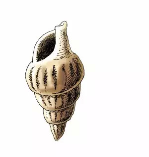 吃一口就成植物人 吃一口就成植物人