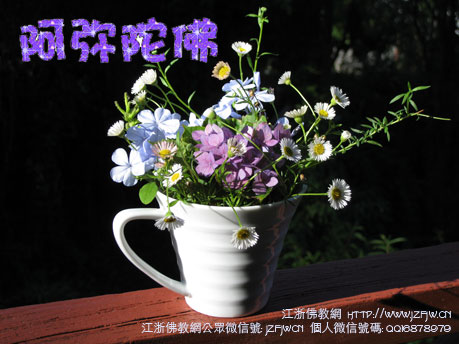 ���������ţ�Ω�����٣��ƶ�֮������Ӱ���Ρ��ǡ���Ӧƪ�����ܸ���