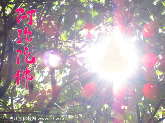 ��ϲ��ʦ����Ĺ������