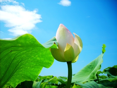 分享:“我”一定藏在妄念后面被遮盖了,必须找到真正的“我” 分享:“我”一定藏在妄念后面被遮盖了,必须找到真正的“我”