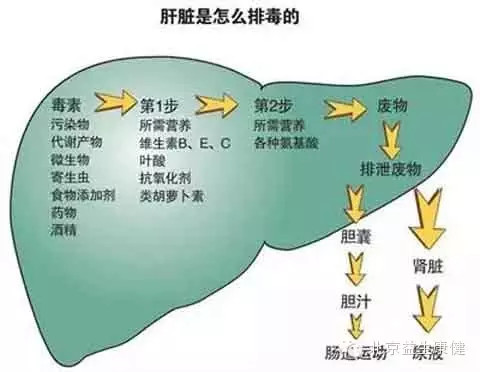 �ֱ۾����顢С�����׳�������������ȣ�