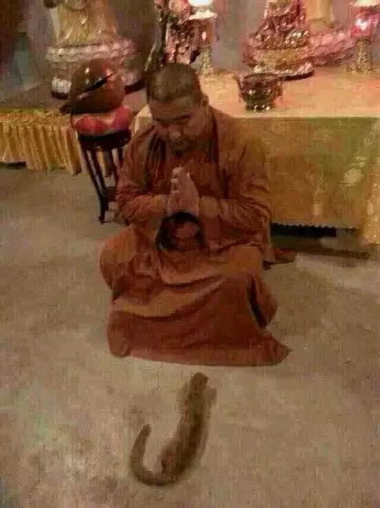 一只黄鼠狼被救后拜佛往生的故事... 一只黄鼠狼被救后拜佛往生的故事...