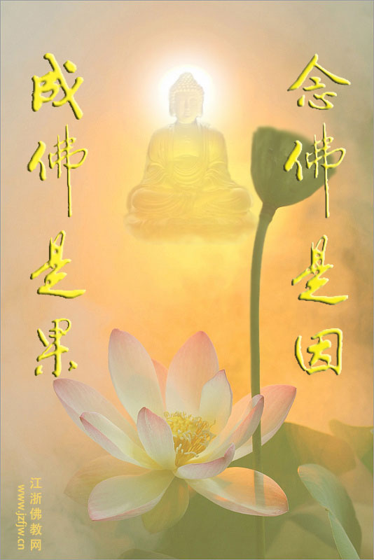 大安法师:修人天善与往生净土有何关系? 大安法师:修人天善与往生净土有何关系?