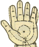 �п��Լ�������Щ�ط����ĸ�Ƣ�ζ���ͨ�ˣ�