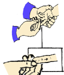 �п��Լ�������Щ�ط����ĸ�Ƣ�ζ���ͨ�ˣ�