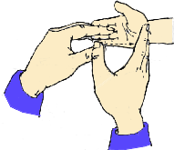 �п��Լ�������Щ�ط����ĸ�Ƣ�ζ���ͨ�ˣ�