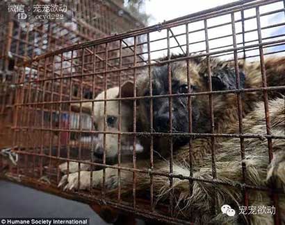 ÿ����ɱ������ֻ�����Ĺ�����䱻��ͣ�����������ڽ�����