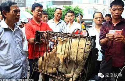 ÿ����ɱ������ֻ�����Ĺ�����䱻��ͣ�����������ڽ�����