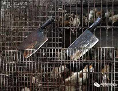 ÿ����ɱ������ֻ�����Ĺ�����䱻��ͣ�����������ڽ�����