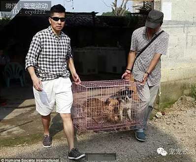 ÿ����ɱ������ֻ�����Ĺ�����䱻��ͣ�����������ڽ�����