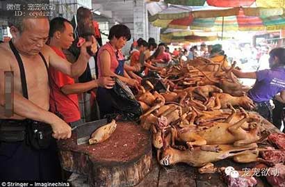 ÿ����ɱ������ֻ�����Ĺ�����䱻��ͣ�����������ڽ�����