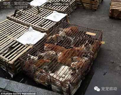 ÿ����ɱ������ֻ�����Ĺ�����䱻��ͣ�����������ڽ�����