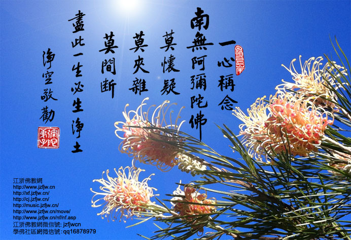 ���������������������ọ́�����ؼң��ؼұ���øɸɾ���