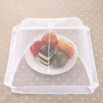 ����������11������ϰ�ߣ���ʵ�ܲ���������϶���ô��������