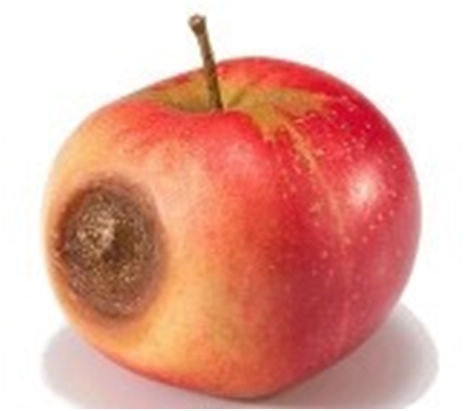 ����������11������ϰ�ߣ���ʵ�ܲ���������϶���ô��������