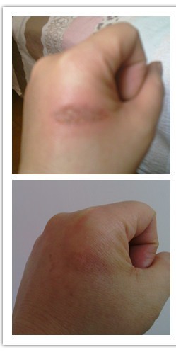 ���гִ��亢����Ը����У---�޳ִ������ྭ��