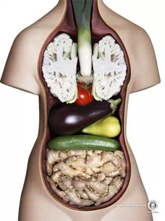 394名僧人的吃素调研结果公布 394名僧人的吃素调研结果公布