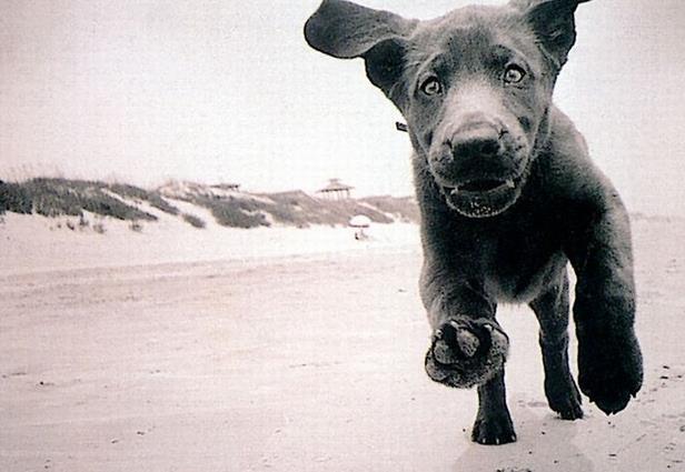 阴间到底是什么样子的?阴间的路咋走? 阴间到底是什么样子的?阴间的路咋走?