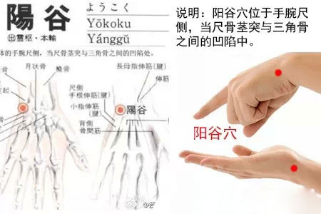 手腕上藏着个“不老穴” 手腕上藏着个“不老穴”