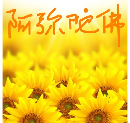 �������÷𷨴��������е����飬����Խ��Խ˳��