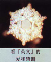 ����ϧ����_Ո���Ӊ�̥��