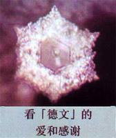 ����ϧ����_Ո���Ӊ�̥��