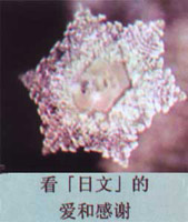 ����ϧ����_Ո���Ӊ�̥��