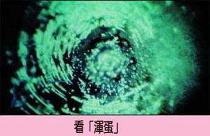 ����ϧ����_Ո���Ӊ�̥��