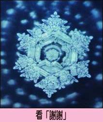 ����ϧ����_Ո���Ӊ�̥��