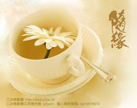 生命有十件无能为力的事,必须放下 生命有十件无能为力的事,必须放下