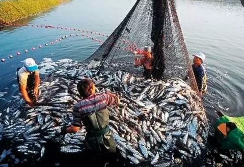 ȫ��ȼ���ÿ�춼��6000������ûˮ�ȶ�������������Ϊ������ʲô����