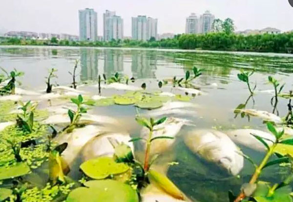 ȫ��ȼ���ÿ�춼��6000������ûˮ�ȶ�������������Ϊ������ʲô����