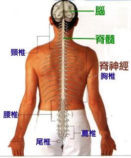 �����˫����ȥ��ļ�����������ô�򵥣�