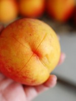 ��ˮ����ȫ������һ���õ��ϣ�̫ʵ���ˣ�