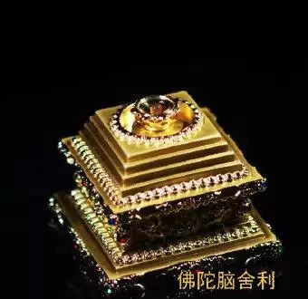 ׳�۵ķ��������ü������������𣡼��߻񸣵ô����棡