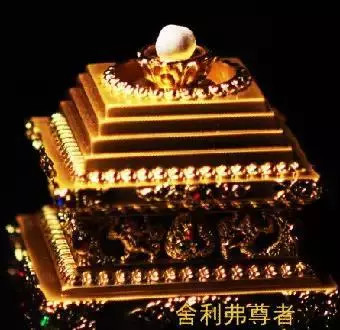 ׳�۵ķ��������ü������������𣡼��߻񸣵ô����棡