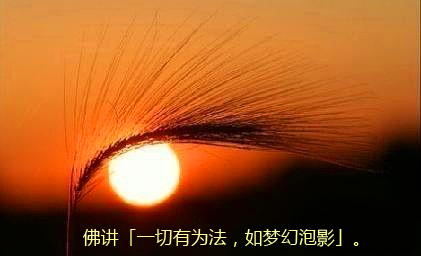 黄柏霖警官:儿子强于我,留钱做什么?儿子弱于我,留钱做什么? 黄柏霖警官:儿子强于我,留钱做什么?儿子弱于我,留钱做什么?